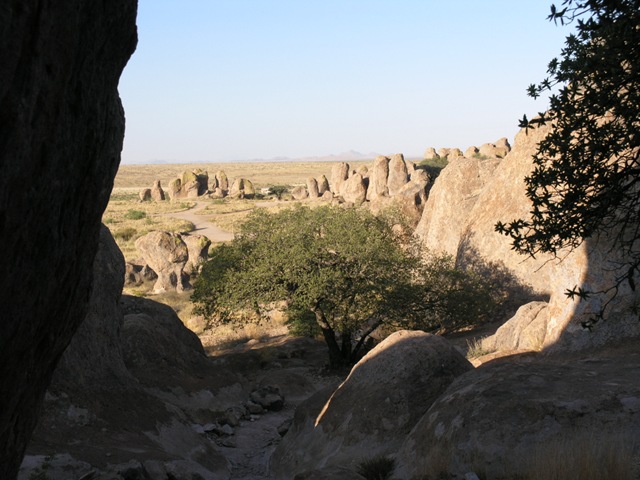 [P6205397[2].jpg]