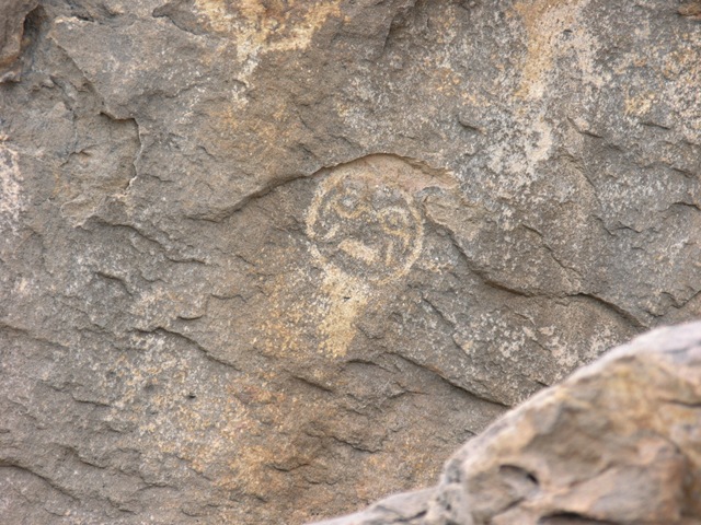 [P62754165.jpg]