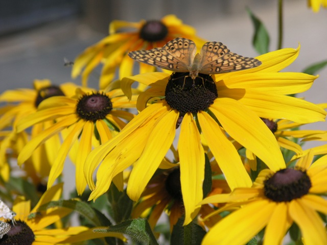 [P7045457[2].jpg]