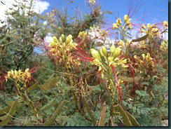 P7045470