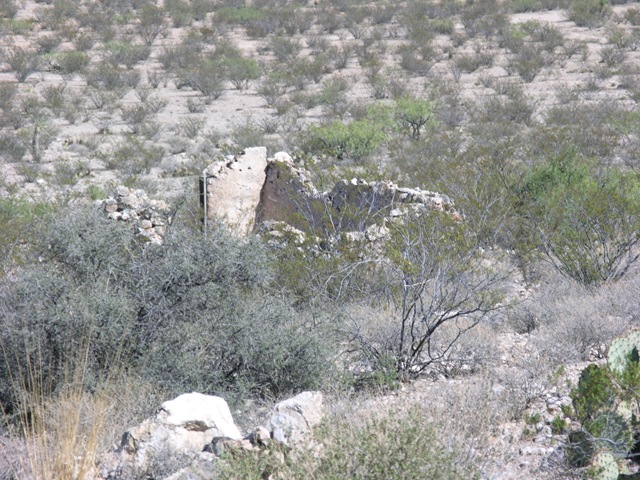 [P91255242.jpg]