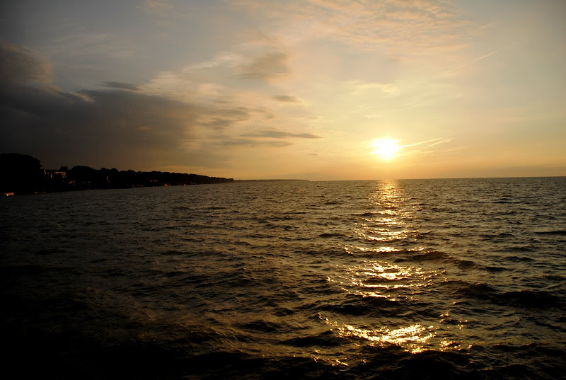 External inline image provided by member with no explanatory text