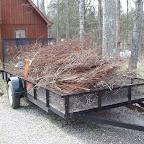 Day Three - Hauling off the debris