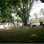 Click to Expand Owen Gleaves & George Wilkerson work in Gleaves- Clements Cemetery, Hermitage, Tennessee