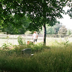 Click to Expand Owen mows new growth at Gleaves-Clements Cemetery