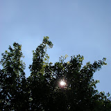 Misc Pics