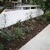 Newly planted garden