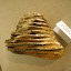Parco e Museo Vulcanologico