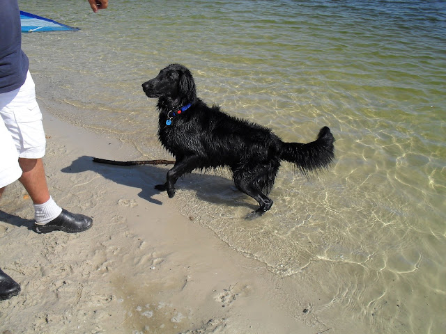 [Afbeelding: SDC10343.JPG]