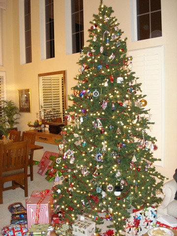[Christmas in San Diego 2008-12-25 010[4].jpg]