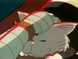 madcat madcat