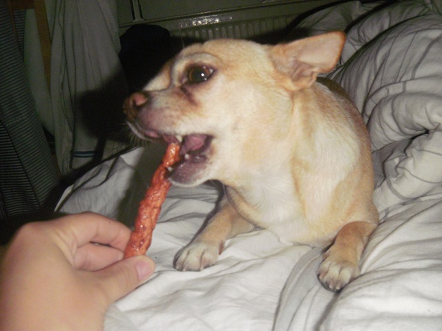 [massa blanda 072[3].jpg]