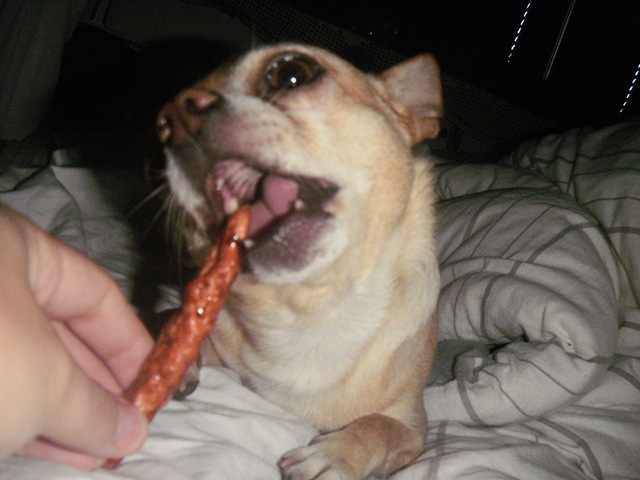 [massa blanda 075[2].jpg]