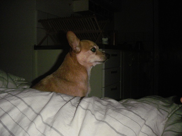 [massa blanda 081[2].jpg]