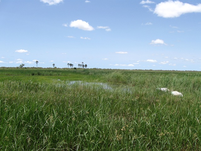 [IMG_10503.jpg]