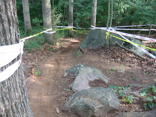 IMG_3706.jpg