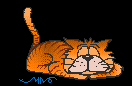 gato.gif