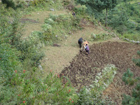 IMG_1067.JPG Photo