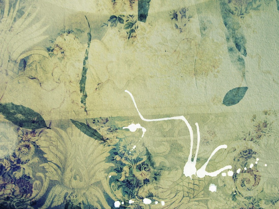 [a238ddd5aa58[3].jpg]