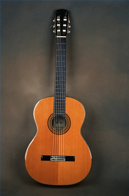 [learn-play-spanish-guitar-800X800[4].jpg]