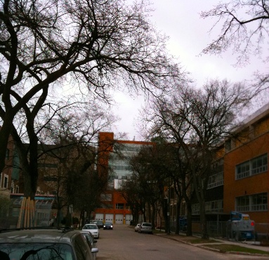 IMG_1862.jpg IMG 1862