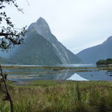 Weg zum Milford Sound