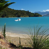 Kenepuru Sound