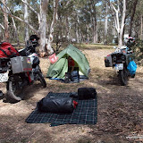 Camp bei Walcha