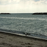 Lake Erie