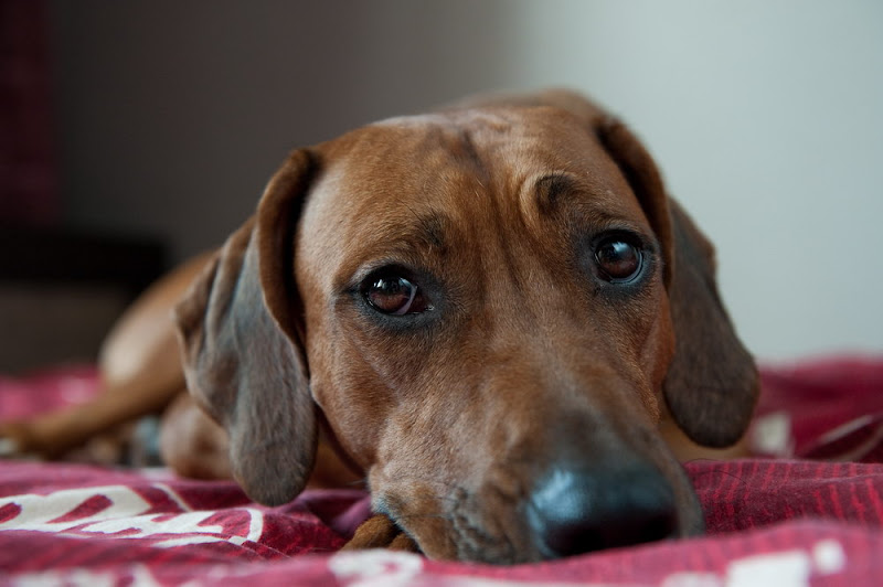 DSC_4393_resize.jpg