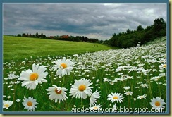 !cid_000b01c757a8$9f289e30$0400000a@ATILA