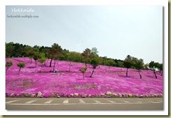 pink7