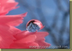 photos-81_thumb[4]