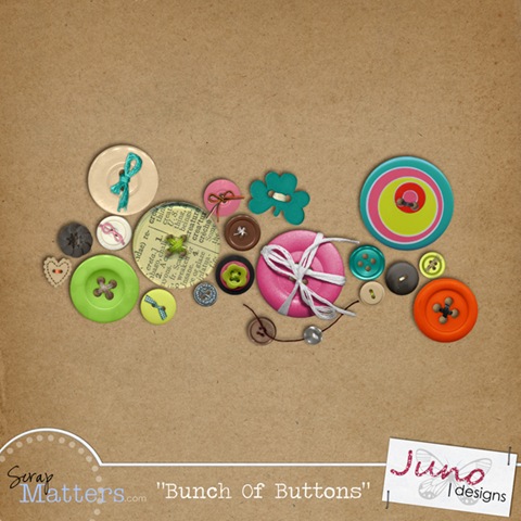 [juno_bunchofbuttons_preview[5].jpg]