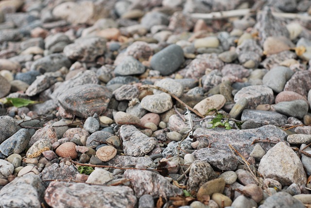 [090607 072[2].jpg]