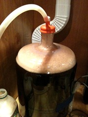 Pedigree Porter