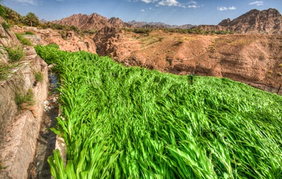 Gardens at Khutwa-3