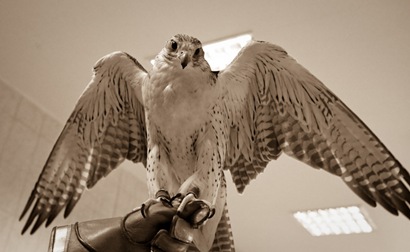 Are you looking at me- Are you looking at me-
