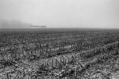 [Barnsinthefog2Edit4.jpg]