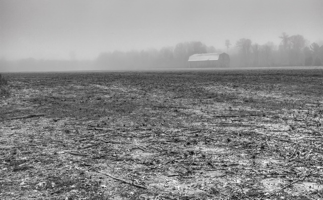 Barn in the Fog-Edit