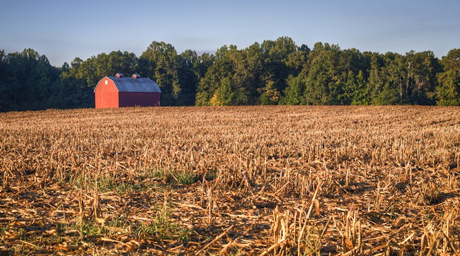 Route 4 Barn