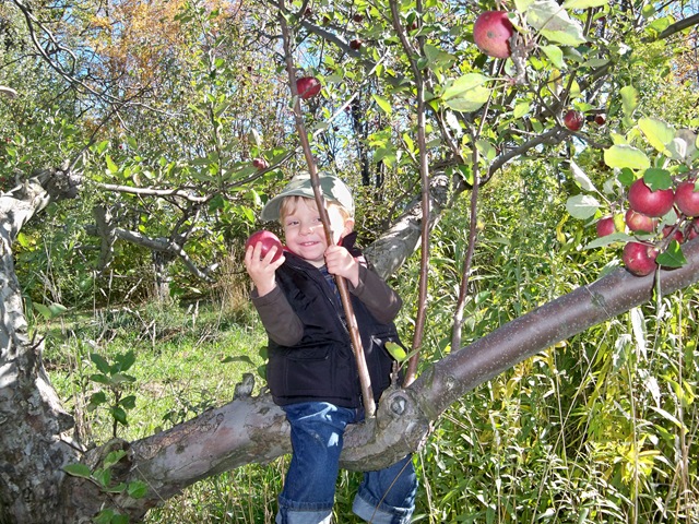 [fall 2010 038[2].jpg]