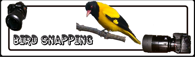 [image[11].png]