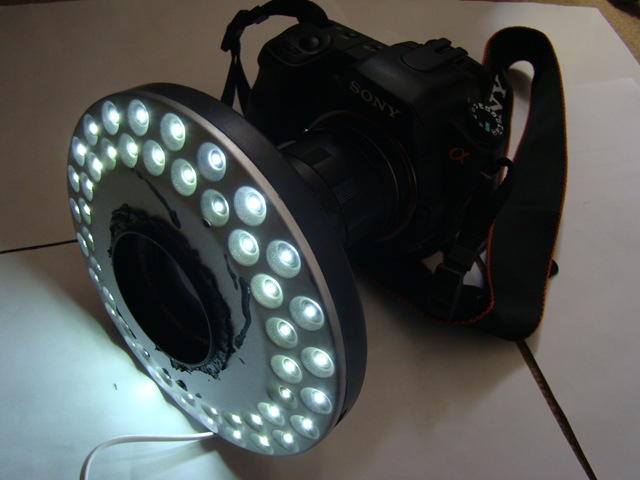 [ringlight1492.jpg]