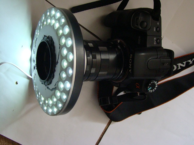 [ringlight1502.jpg]