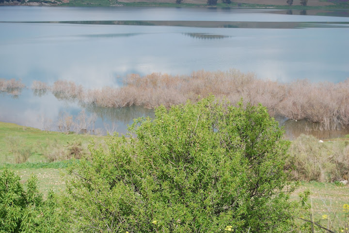 DSC_0002.jpg