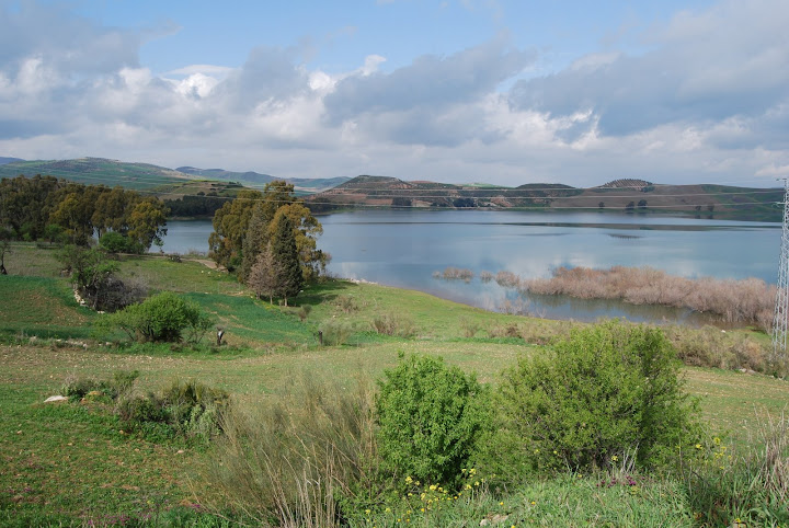 DSC_0003.jpg