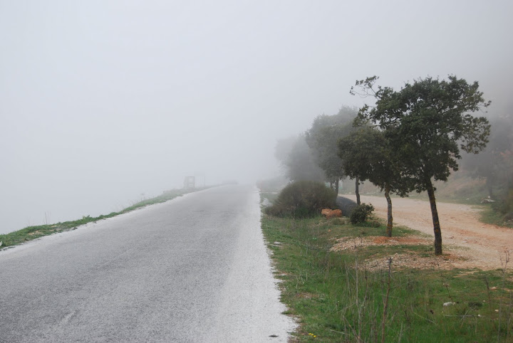 DSC_0006.JPG
