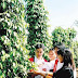 Pepper declines on weak domestic demand