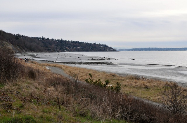 [DSC_4135[7].jpg]